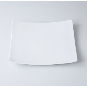  B&W  ~[Wij pM [ 25.6 x 25.6 x 3cm 950g ] | lp XNGA XNGA[ pM pX^ lC  H mH Ɩp HX JtF    킢 Mtg v[