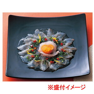  B&W  ~[Wij pM [ 25.6 x 25.6 x 3cm 1000g ] | lp XNGA XNGA[ pM pX^ lC  H mH Ɩp HX JtF    킢 Mtg v[