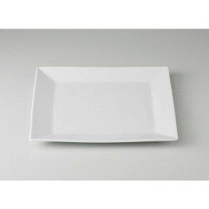  ؃I[v   pMij [ 25 x 25 x 2cm 1000g ] y [X ؐH AWA HX Ɩp z