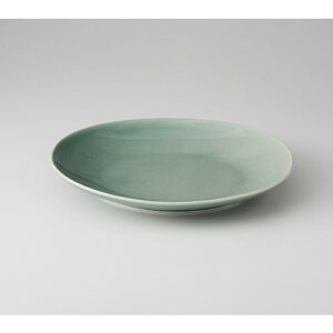  JtFX^C  NCY I[ov[giMj [ 23 x 19.1 x 3.3cm 570g ] | ȉ~ M `v^[  pX^ lC  H mH Ɩp HX JtF    킢 