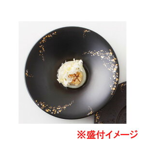  Japanese modern  Xo}bg xm^X[v [ 27.9 x 5cm 929g ] | X[v{E X[vq `o X[v}O lC  H mH Ɩp HX JtF    킢 Mt