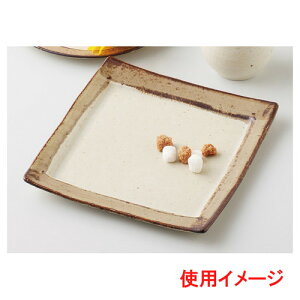  JtFX^C  Cafe@au@lait XNGAv[g [ 24.5 x 22.8 x 1.7cm ] | lp XNGA XNGA[ pM pX^ lC  H mH Ɩp HX JtF    킢