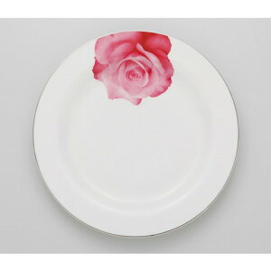  fBi[v[g  A[ 10hfBi[ [ 28 x 2.5cm 570g ] | M v[g p[eB lC  H mH Ɩp HX JtF    킢 Mtg v[g 