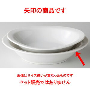  mI[v  ʟ 10"x[J[ [ 26.2 x 19 x 6.3cm ] | pX^ J[ V`[ ֗ XpQeB lC  H mH Ɩp HX JtF    킢 Mtg v