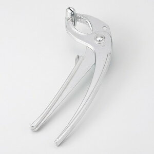  Ί  Ƃ [ 19cm ] | ؍H ē z ؗ lC  H Ɩp HX JtF    킢 Mtg v[g o a 蕨 i