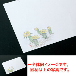  a  ~100 2i3|5j [ 39.5 x 26.5cm ] | `}bg ΃}bg   lC H Ɩp HX JtF    킢   Mtg 