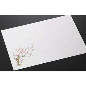 a  a~100 1~i2|3j [ 36.5 x 26.5cm ] | `}bg ΃}bg   lC H Ɩp HX JtF    킢   Mtg 