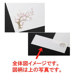  a  a~ij100 1~i2|3j [ 36.5 x 13cm ] | `}bg ΃}bg   lC H Ɩp HX JtF    킢   M