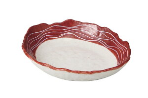 bh ȉ~{[[25x21x5cm] |aH@Ԕ@pr@ĂȂ@