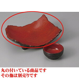 hg gYOc،t [19 x 13 x 6.7cm] |  bh  ubN aH hg  {E  ze H Ɩp HX JtF    킢 Mtg v[g j a