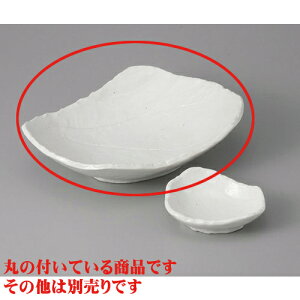 hg ֍ڑ唫 [23 x 18 x 65cm] | aH hg  {E  ze H Ɩp HX JtF    킢 Mtg v[g j a 蕨 i 