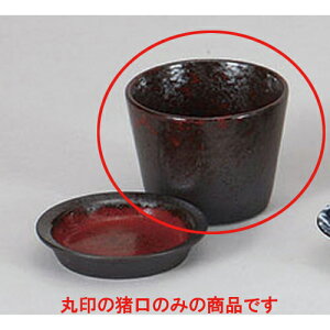 Ηpi _ΐ [8 x 6cm 180cc] |    傱  ǂ  lC H Ɩp HX JtF    킢  Mtg v[g o 