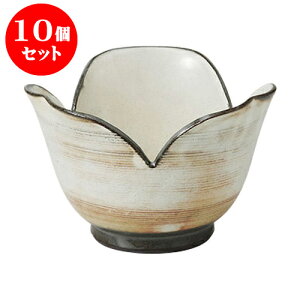 10Zbg  Ԗ䊄R [12.5 x 7cm] |     {E \ lC  H Ɩp HX JtF    킢 Mtg v[gj j 