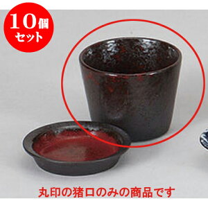 10Zbg Ηpi _ΐ [8 x 6cm 180cc] |    傱  ǂ  lC H Ɩp HX JtF    킢  Mtg v[g 