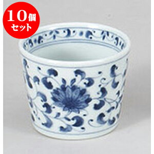 10Zbg Ηpi e\o [8 x 6.5cm 200cc] |    傱  ǂ  lC H Ɩp HX JtF    킢  Mtg v[g