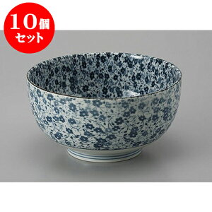 10Zbg  ԂDݘ() [16.3 x 8.3cm] | Dݘ Ԃ JtF  [  ǂ {E H Ɩp HX JtF    킢 Mtg v[g a