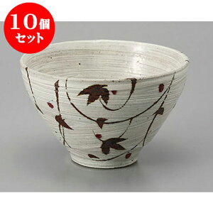 10Zbg  іړ䘥 [14.3 x 9.2cm] GR}[N | Dݘ Ԃ JtF  [  ǂ {E H Ɩp HX JtF    킢 Mtg v[