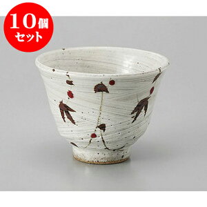 10Zbg ~j іړՂq [10.8 x 8cm] GR}[N | Dݘ Ԃ JtF  [  ǂ {E H Ɩp HX JtF    킢 Mtg