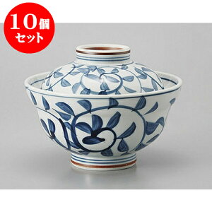 10Zbg Wt咃 W [15.6 x 11.7cm] | Ԃ  ǂԂ H Ɩp HX JtF    킢   Mtg v[g o j j a 