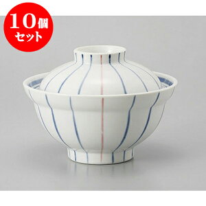 10Zbg Wt咃 sN\5.0W [15.5 x 11.5cm] | Ԃ  ǂԂ H Ɩp HX JtF    킢   Mtg v[g o j j