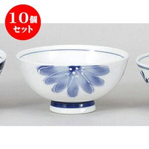 10Zbg  ꒿e [11.4 x 5.7cm]  |  q јq ђq  lC  H Ɩp HX JtF    킢 Mtg v[g o a