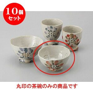 10Zbg r Ԕјq()() [10 x 6cm] | q  yA vw ̂  lC  H Ɩp HX JtF    킢 Mtg v[g o a