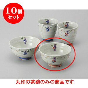 10Zbg r Ԃǂјq() [11.5 x 6cm] | q  yA vw ̂  lC  H Ɩp HX JtF    킢 Mtg v[g o a 
