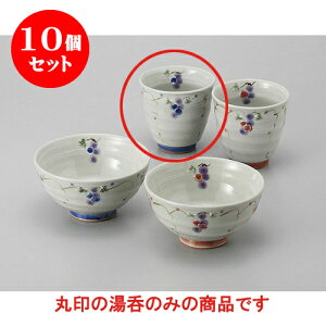 10Zbg r Ԃǂ() [8 x 8cm] | ̂   ꕞ  lC  H Ɩp HX JtF yA    킢 Mtg v[g o a 