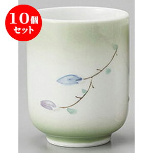 10Zbg g ԓa()O[ [6.2 x 8.5cm 180cc] | ̂   ꕞ  lC  H Ɩp HX JtF yA    킢 Mtg v[g 