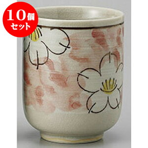 10Zbg g ԔZ() [6 x 8cm] | ̂   ꕞ  lC  H Ɩp HX JtF yA    킢 Mtg v[g o a 