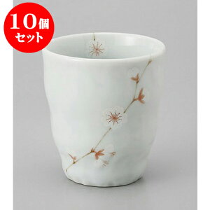 10Zbg  aԃRbv [8 x 8.5cm] | ̂   ꕞ  lC  H Ɩp HX JtF    킢 Mtg v[g o a 