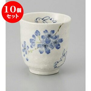 10Zbg  ہ@u[ [7.5 x 8cm] | ̂   ꕞ  lC  H Ɩp HX JtF    킢 Mtg v[g o a