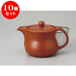 10Zbg |bg DEX^|bg(U) [450cc] | |bg }{ yr g R[q[ ܂ lC  H Ɩp HX JtF    킢 Mtg v[g o 