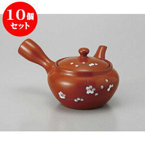 10Zbg }{ D1.8~і [320cc] | |bg }{ イ yr  ꕞ ܂ lC  H Ɩp HX JtF    킢 Mtg v[g o