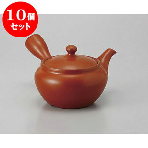 10Zbg }{ D1.8nі [320cc] | |bg }{ イ yr  ꕞ ܂ lC  H Ɩp HX JtF    킢 Mtg v[g o