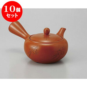 10Zbg }{ D2~і [360cc] | |bg }{ イ yr  ꕞ ܂ lC  H Ɩp HX JtF    킢 Mtg v[g o 