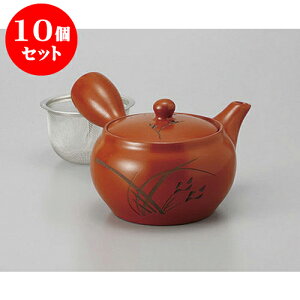 10Zbg }{ D1.8і [320cc] | |bg }{ イ yr  ꕞ ܂ lC  H Ɩp HX JtF    킢 Mtg v[g o 