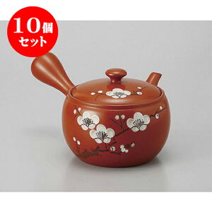 10Zbg }{ D3~}{(|RA~) [500cc] | |bg }{ イ yr  ꕞ ܂ lC  H Ɩp HX JtF    킢 Mtg v[g 