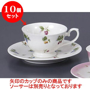 10Zbg qM t[chJbv̂ [9.2 x 6.2cm 200cc] | R[q[ Jbv eB[ g i qM lC  H mH Ɩp HX JtF    킢 Mtg v