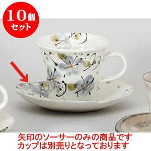 10Zbg qM r[hԉMXM [14.4 x 12.9 x 2cm] y | R[q[ Jbv eB[ g i qM lC  H mH Ɩp HX JtF    킢 Mt