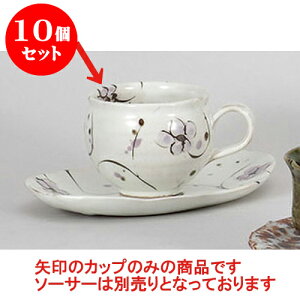 10Zbg qM ԃR[q[q [8.5 x 7cm 220cc] y | R[q[ Jbv eB[ g i qM lC  H mH Ɩp HX JtF    킢 Mtg v