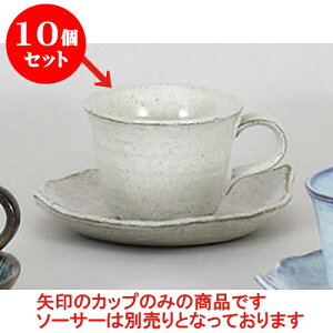 10Zbg qM ɉꕗR[q[q [11.4 x 9 x 7cm 200cc] | R[q[ Jbv eB[ g i qM lC  H mH Ɩp HX JtF    킢 Mtg v[