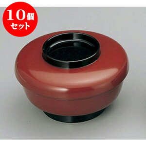 10Zbg  co₷炬~j [14.7 x 9cm] h | d V V  ǂ   v[g Mtg j o j JXj ސEj i 蕨 lC ʔ 
