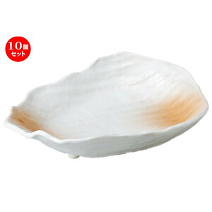 10Zbg  hg ڂ̊^t [ 19.5 x 14 x 4.5cm ] | aH   {E   ze H Ɩp HX JtF    킢 Mtg v[g j a 