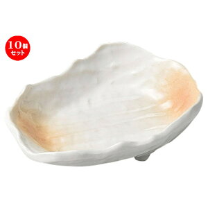 10Zbg  hg ڂ̊^t [ 11 x 8 x 3cm ] | aH   {E  ze H Ɩp HX JtF    킢 Mtg v[g j a 蕨 