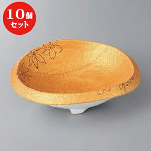 10Zbg  t ʏtHt [ 17.6 x 15.8 x 5.8cm ] | aH   {E   ze H Ɩp HX JtF    킢 Mtg v[g j a 