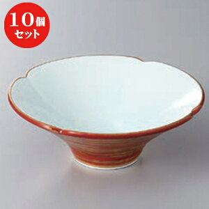 10Zbg   ԊQ珬 [ 12.5 x 4.6cm ] |     {E \ lC  H Ɩp HX JtF    킢 Mtg v[gj 