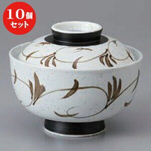 10Zbg  ~َqq n~َqq [ 12.3 x 10.5cm ] | ϕ   B q lC  H Ɩp HX JtF    킢 Mtg v[g o a