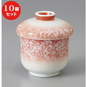 10Zbg ނq /Ԕ^^Lo () [ 7.5 x 8.5cm 140cc ] | q ނ  i q ނq H Ɩp HX  킢 Mtg v[g o a 