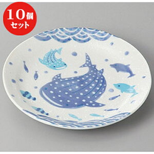 10Zbg  gM Wx[50M [ 16.4 x 2.5cm ] | gM aM M M  \ H Ɩp HX JtF    킢   Mtg v[g o 